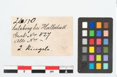 Etikett zu Bronzering (NHMW-PRAE-026150)